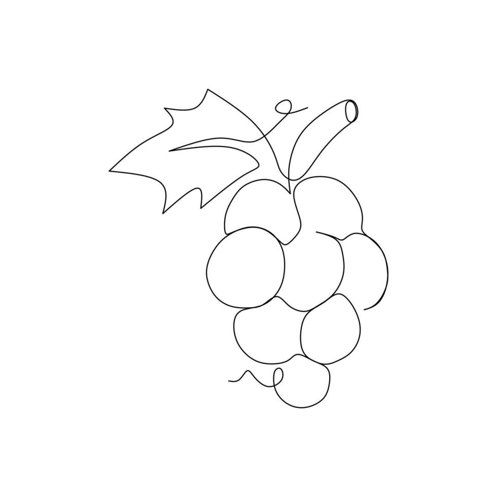 Continuous one line drawing of bunch of grapes. Vector illustration.