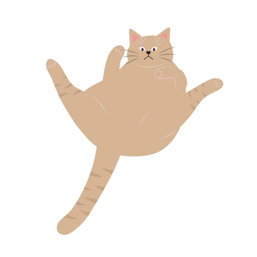 Cute fat cat. Lazy fluffy funny cartoon character. Hand drawn vector illustration isolated on white background.