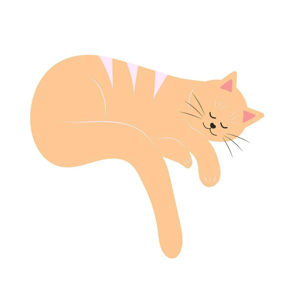 linda grasa dormido gato. perezoso mullido gracioso dibujos animados personaje. mano dibujado vector ilustración aislado en blanco antecedentes.