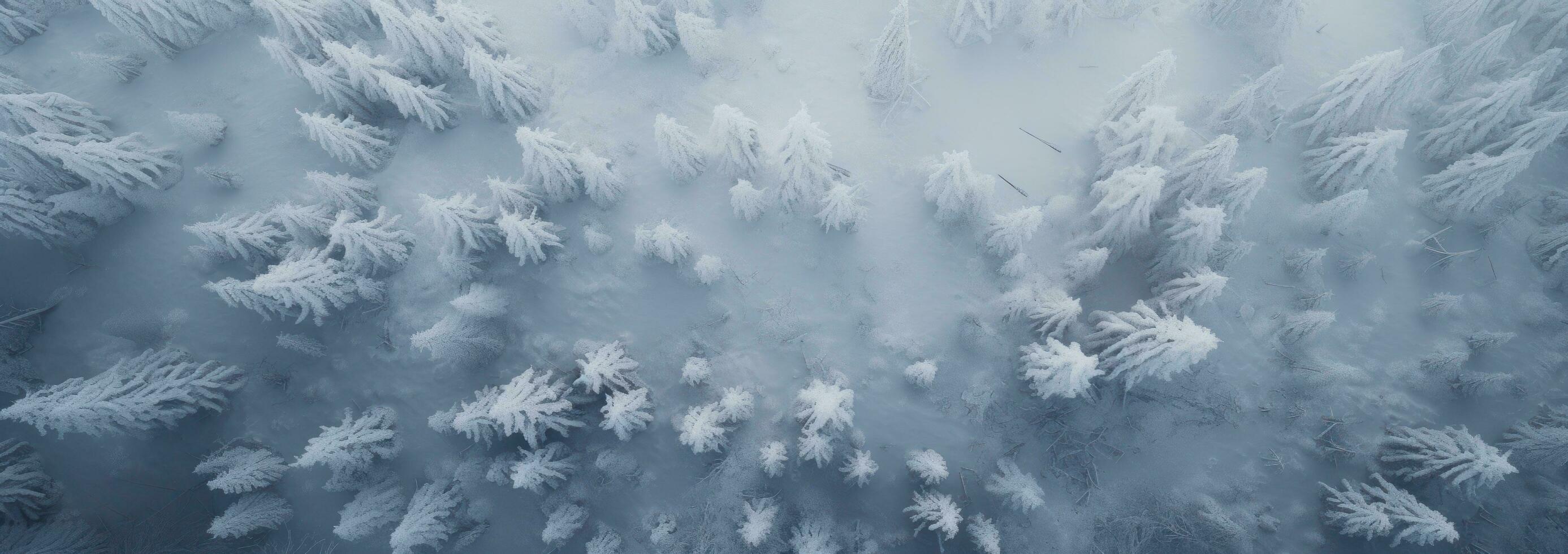 AI generated an aerial shot of snow covered pine trees, photo