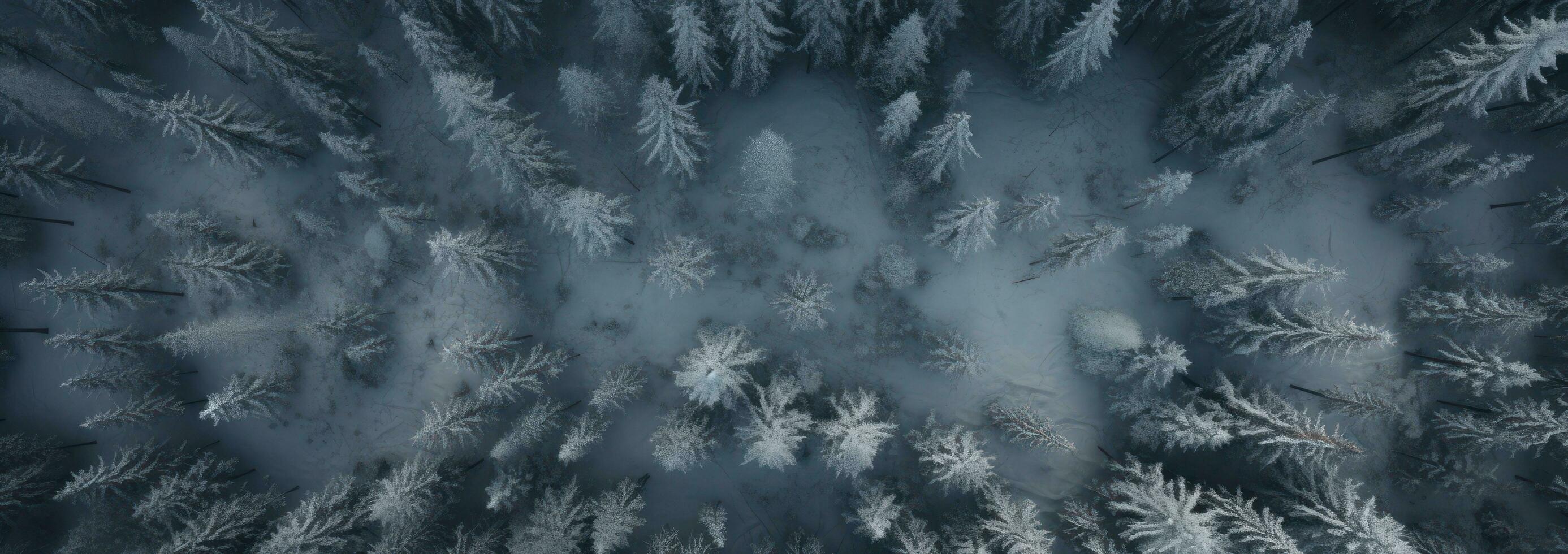 AI generated an aerial shot of snow covered pine trees, photo