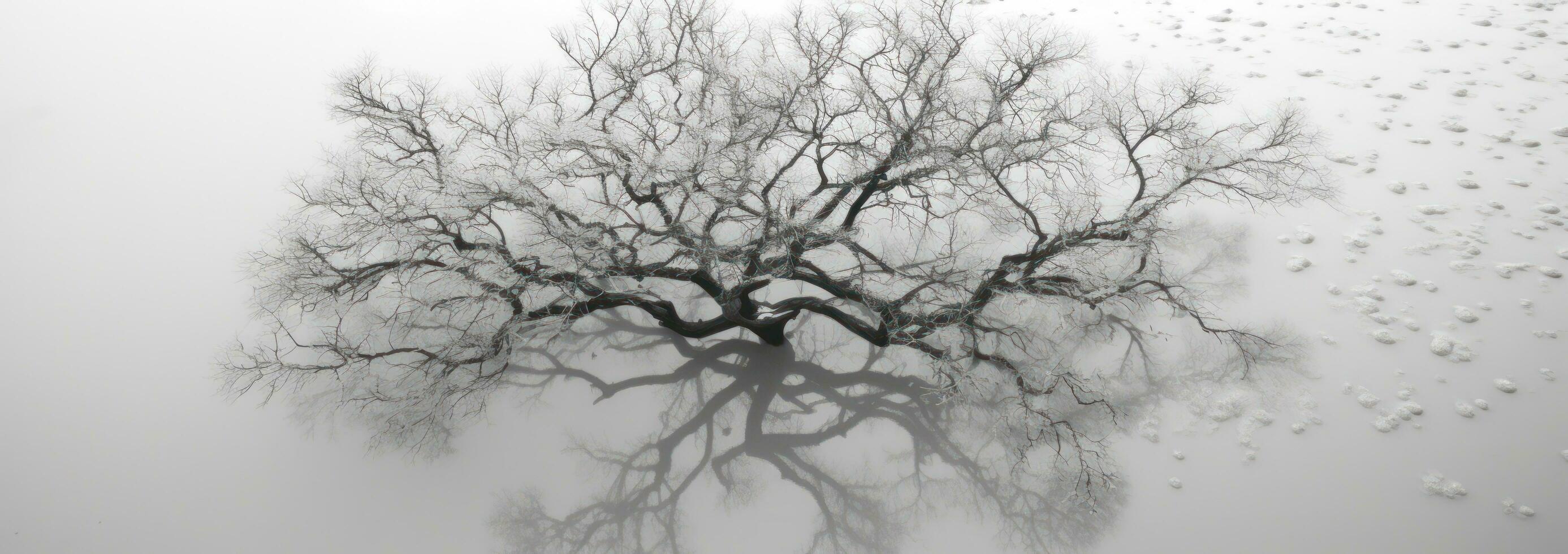 AI generated aerial view of tree covered in snow, photo