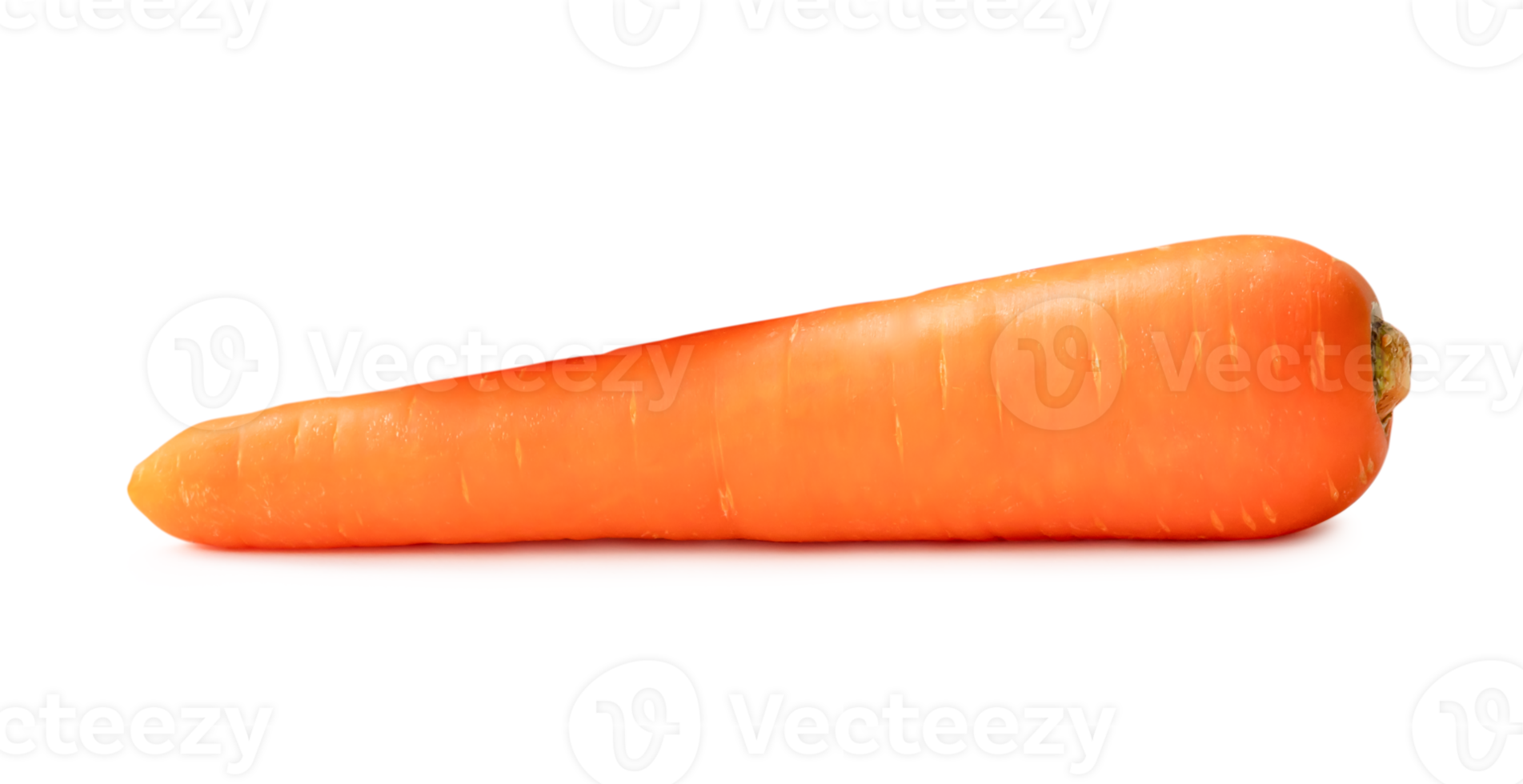 Front side view of beautiful orange carrot isolated with clipping path and shadow in png file format