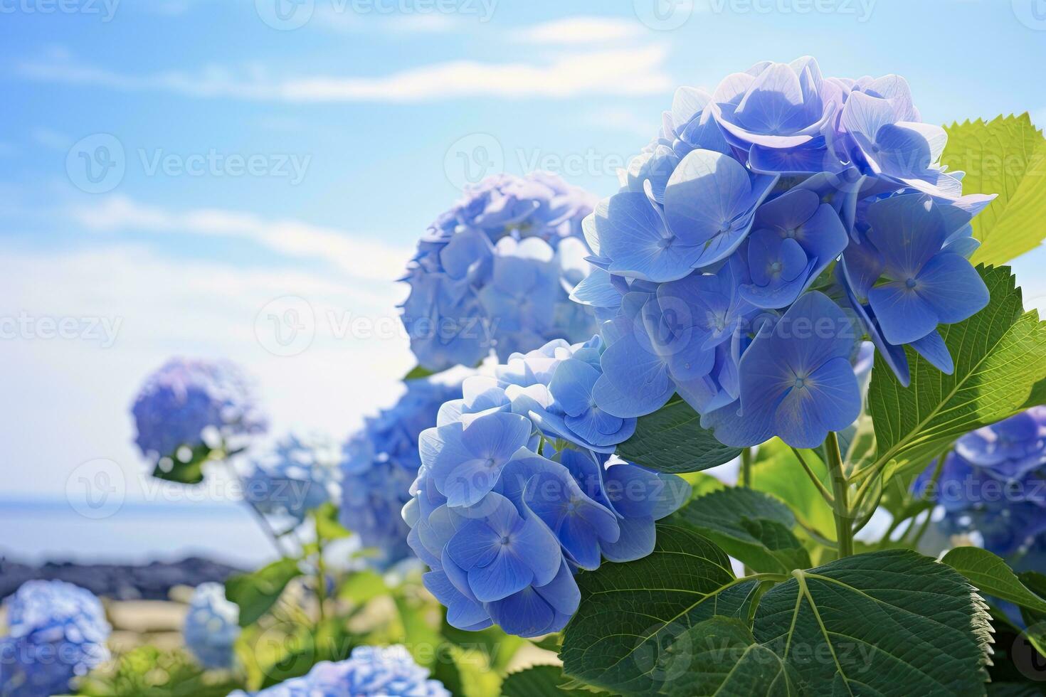 AI generated Blue French hydrangea under blue sky. AI Generated photo