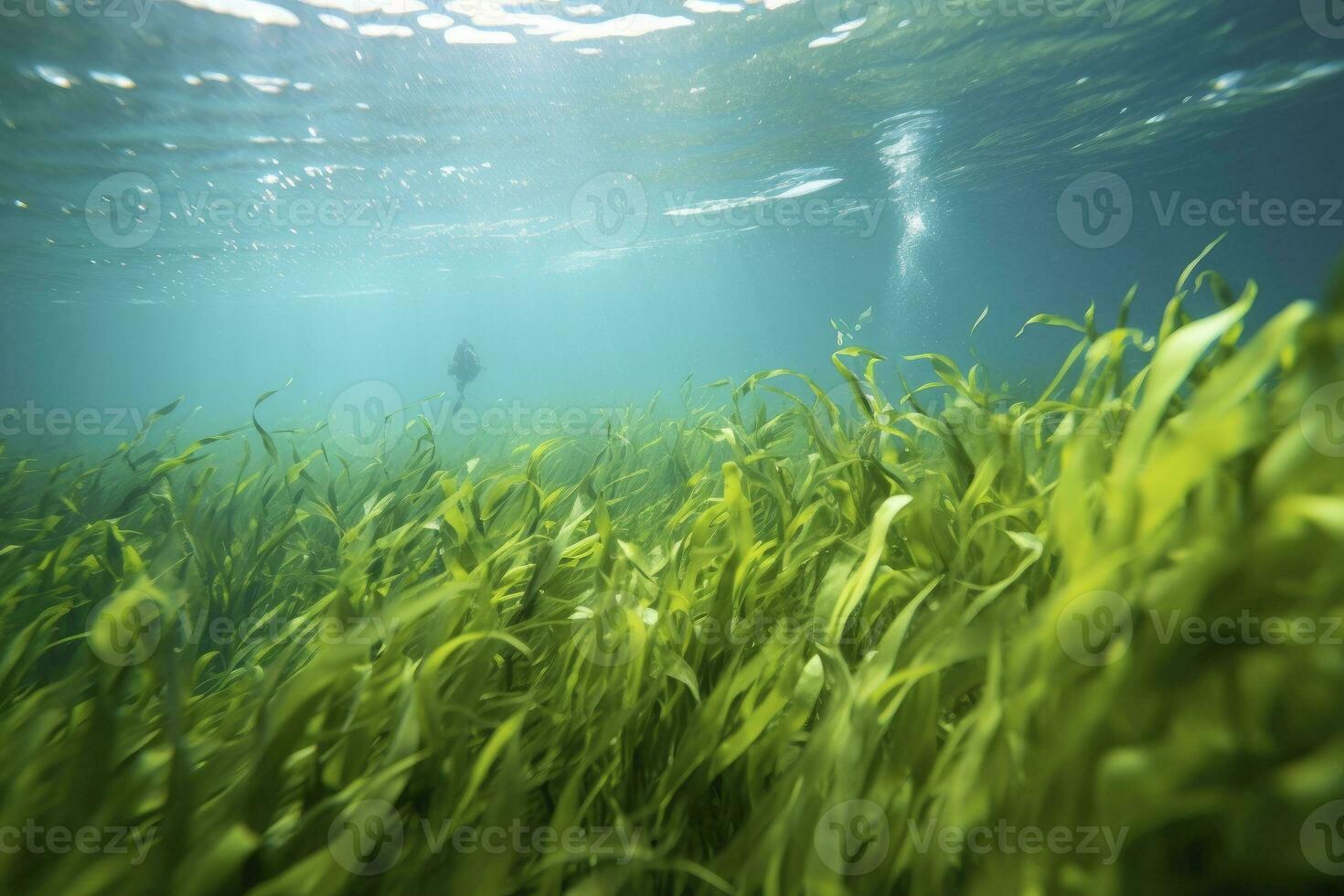 AI generated Underwater view of a group of seabed with green seagrass. AI Generated photo