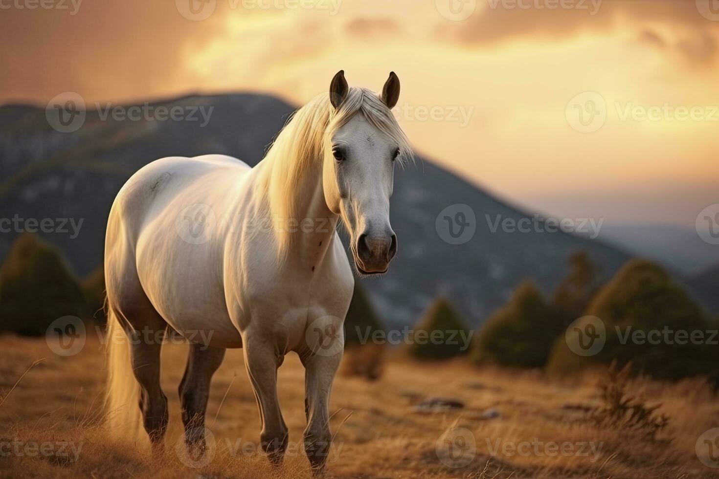 ai generado blanco caballo o yegua en el montañas a puesta de sol. ai generado foto