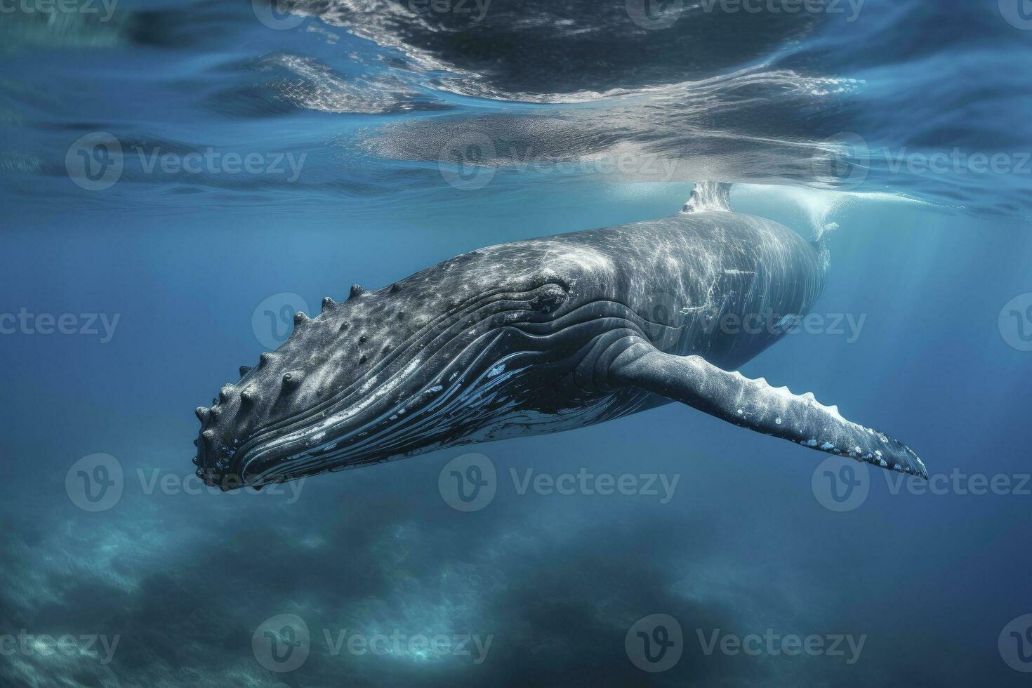 AI generated Young Humpback Whale In Blue Water. AI Generated photo