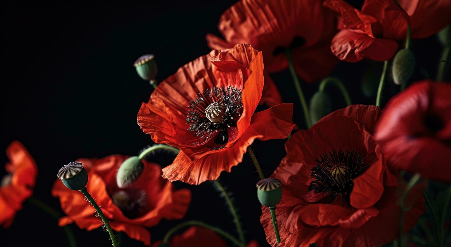 ai generado rojo amapolas en contra negro antecedentes foto