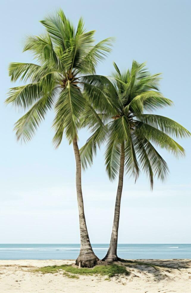 AI generated three lone palm trees are placed together, with linterna and white background photo