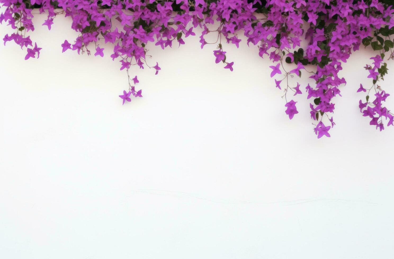 AI generated a white wall with purple flowers photo