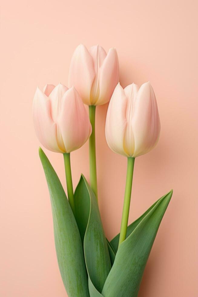 AI generated close up of three pink tulips on a pink background photo