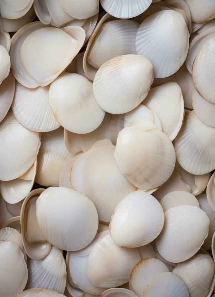 AI generated an image of a large group of sea shells photo