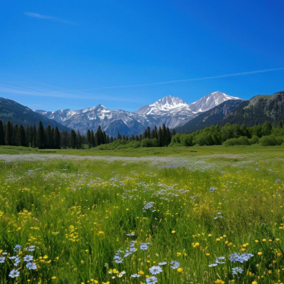 AI generated A quiet meadow filled with wildflowers, a clear blue sky, and a distant mountain range photo