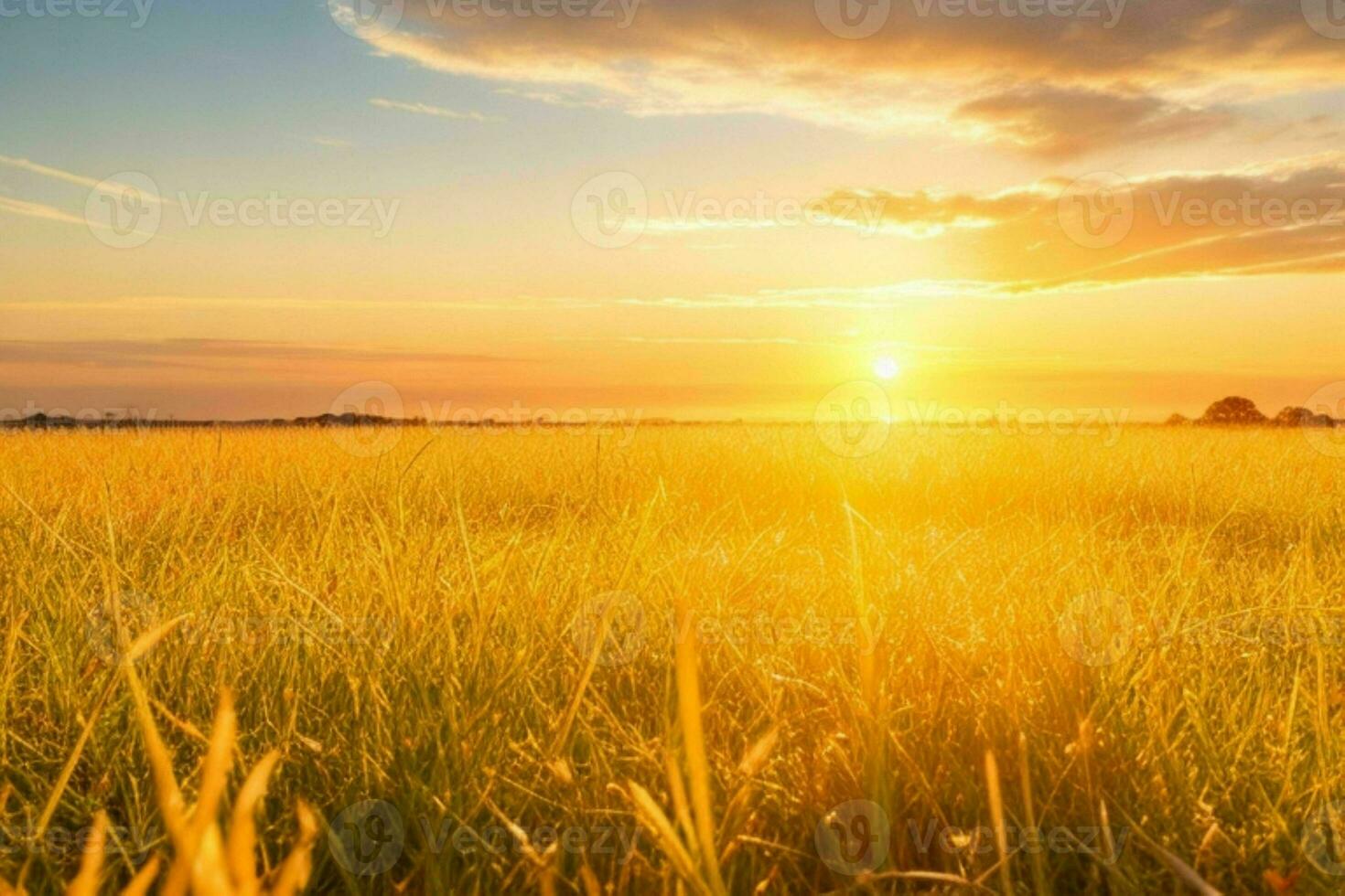 AI generated Golden hour sunset on the field. Pro Photo