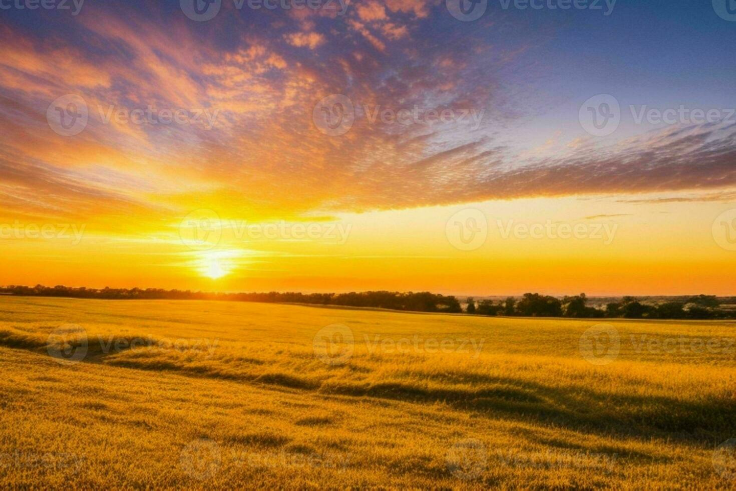 AI generated Golden hour sunset on the field. Pro Photo