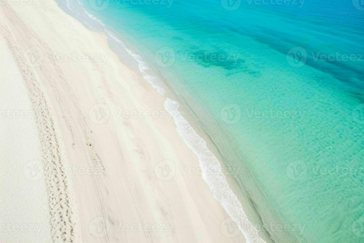 AI generated aerial view of the tropical beach and ocean. Pro Photo