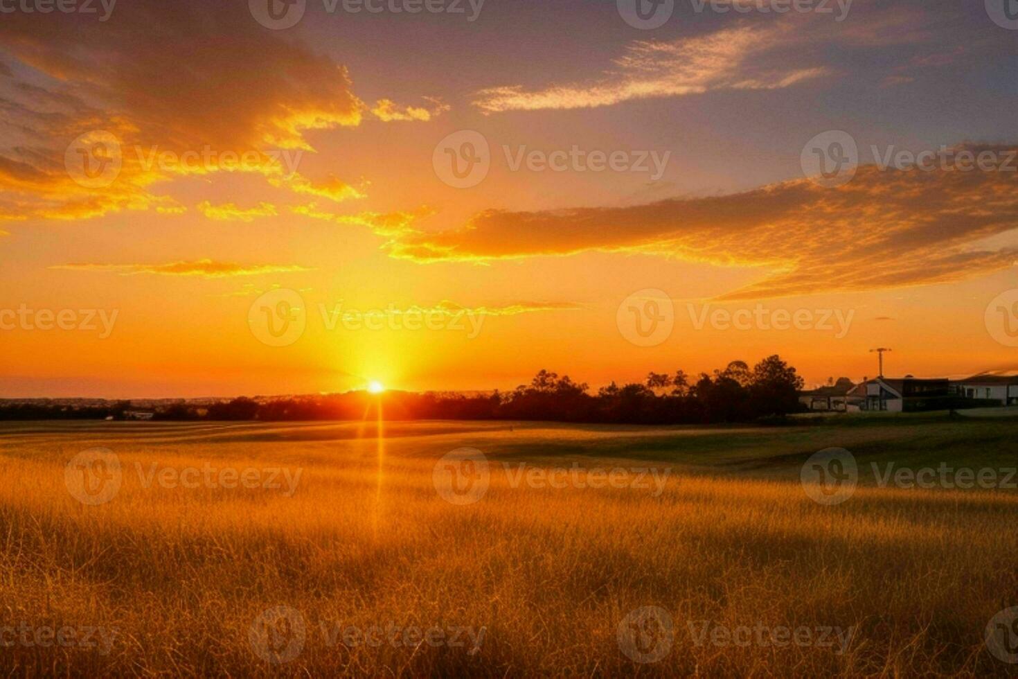 AI generated Golden hour sunset on the field. Pro Photo