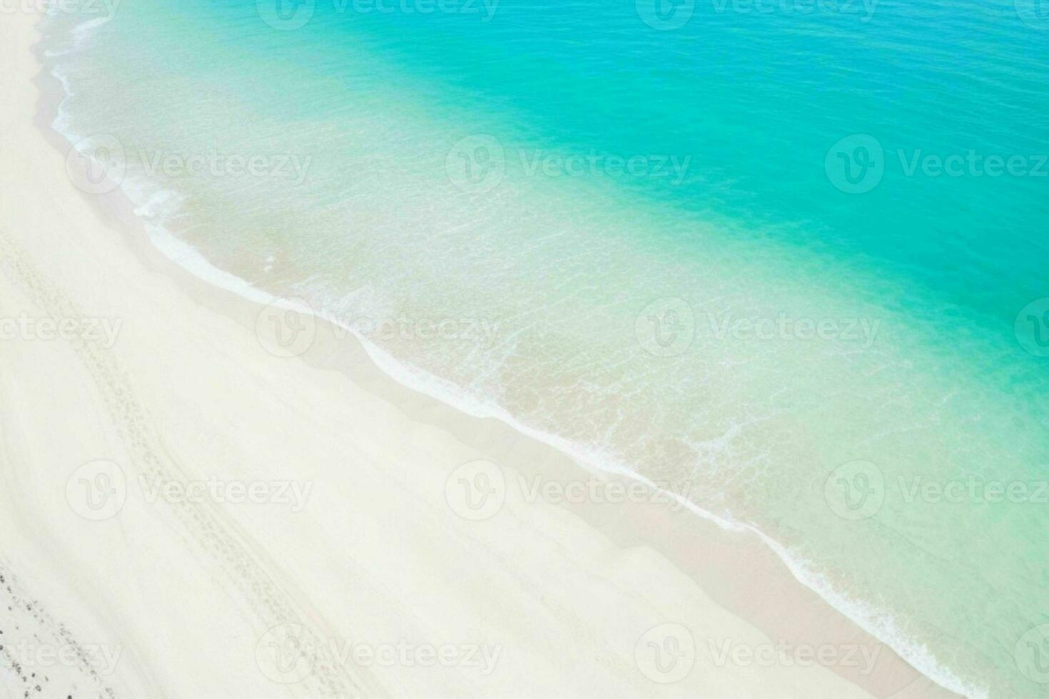 AI generated aerial view of the tropical beach and ocean. Pro Photo