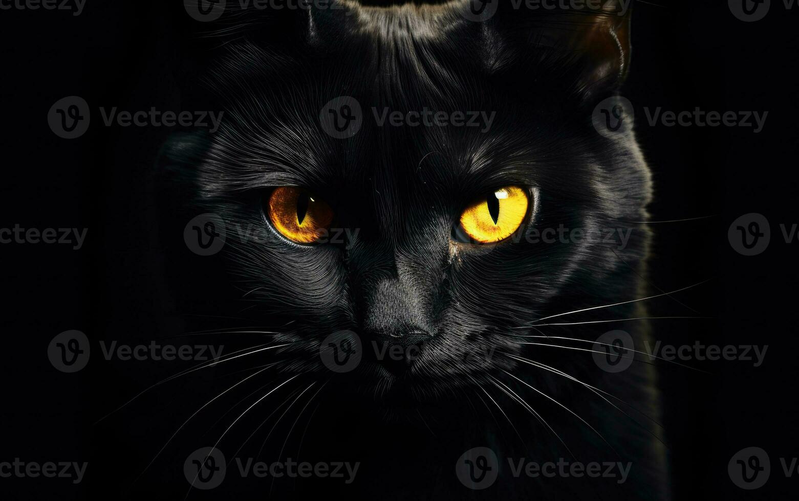 AI Generated The muzzle of a black cat with yellow eyes. The face of a cat. photo