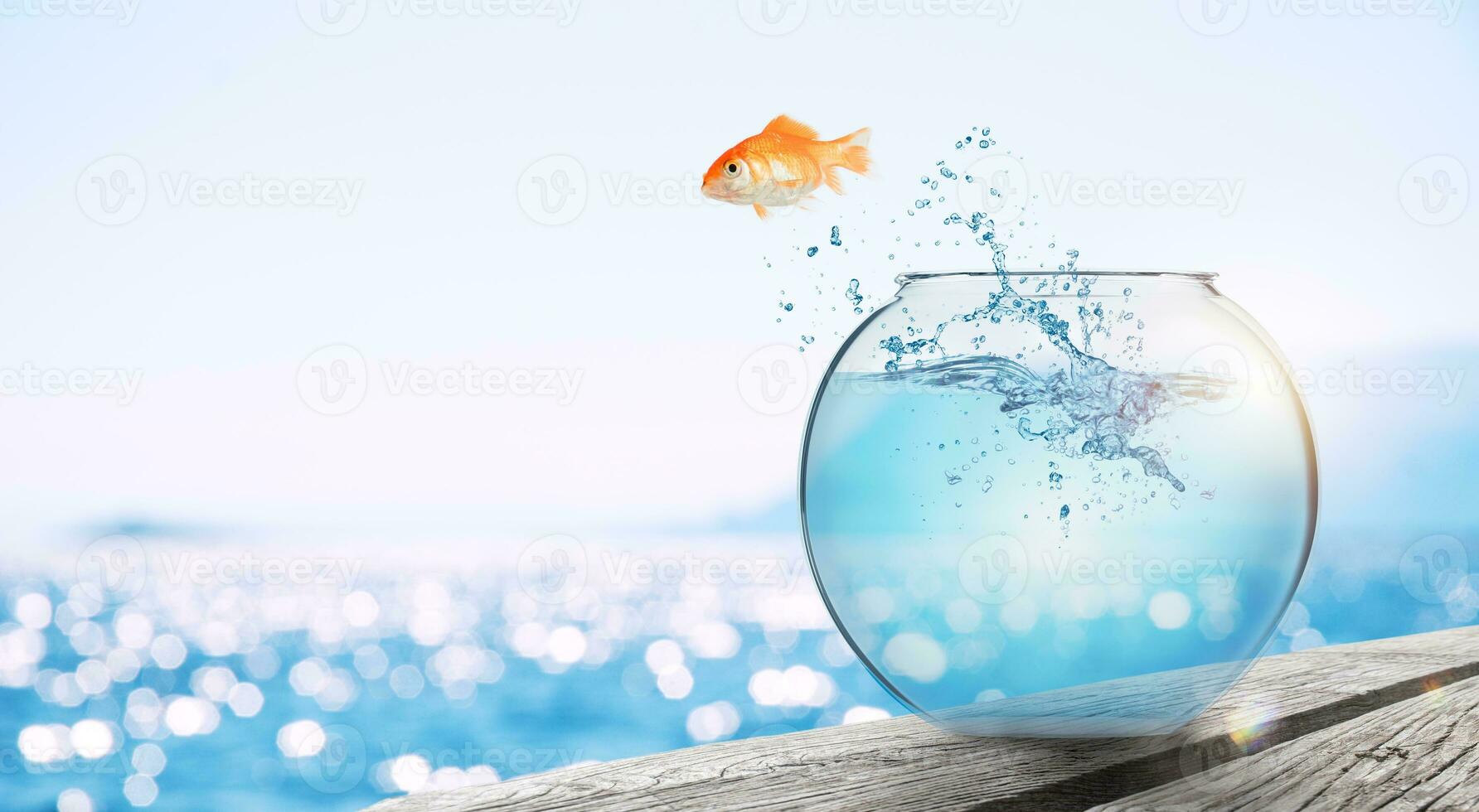 Goldfish leaps out of the aquarium to throw itself into the sea photo