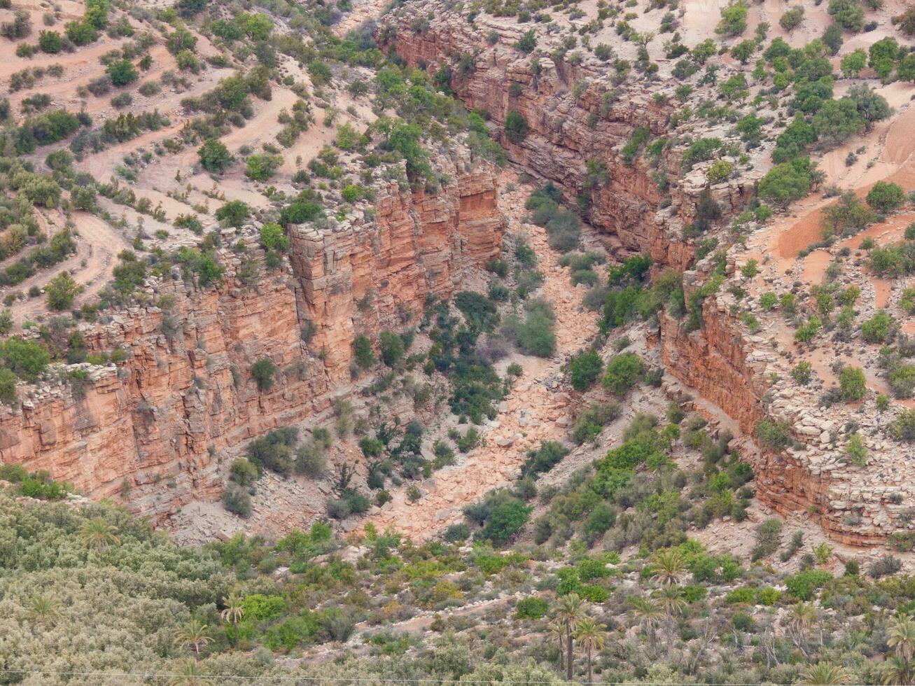 un cañón con un río corriendo mediante eso foto