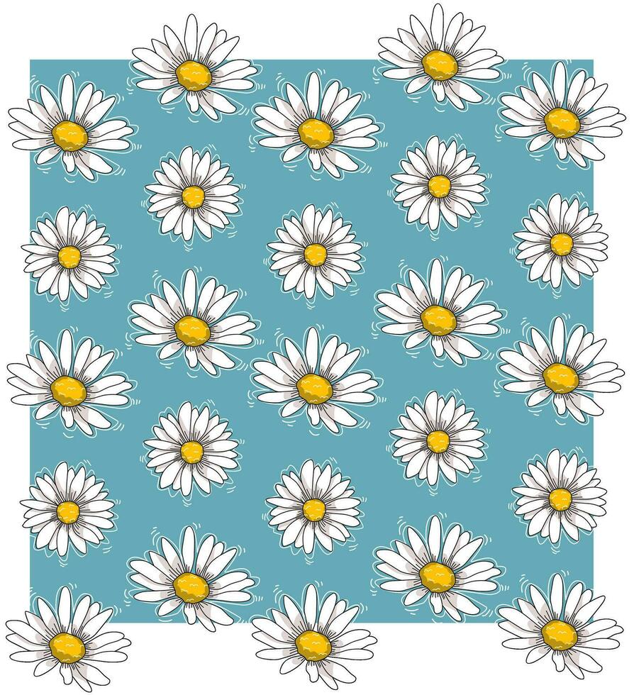 Wallpaper White daisy flowers on a blue background vector