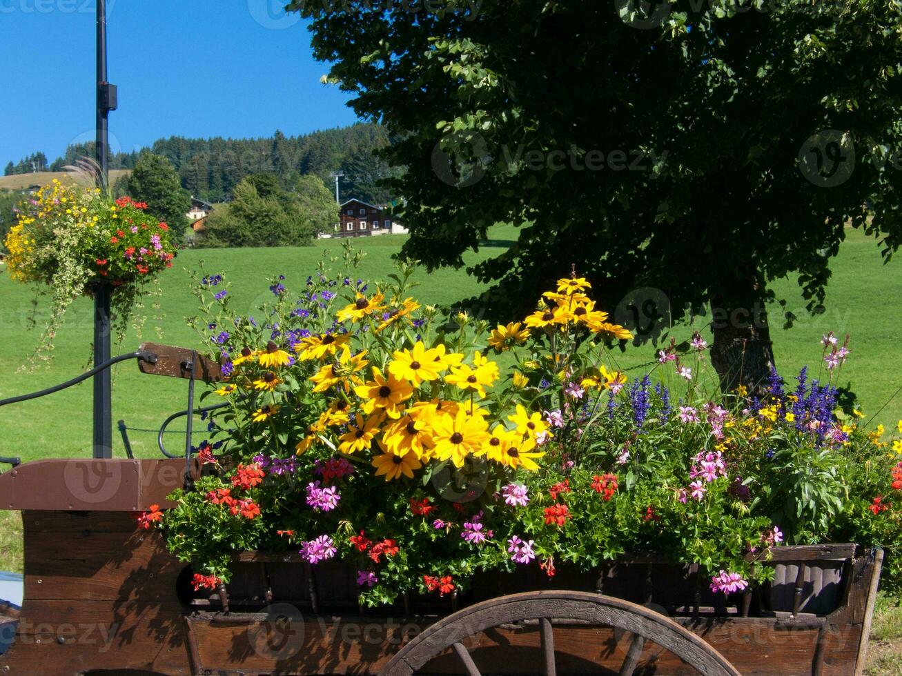 a wooden cart with flowers photo