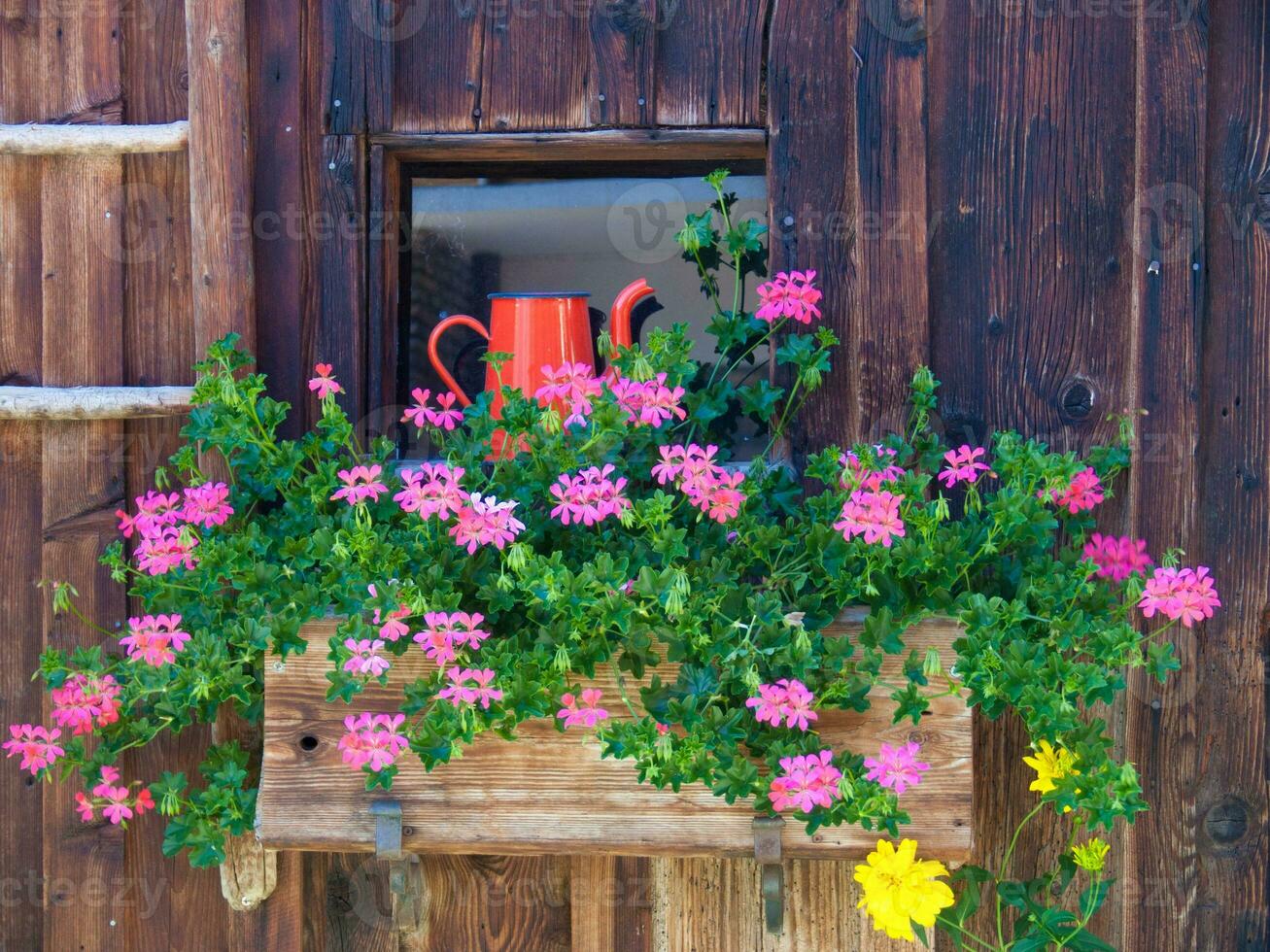 a wooden window with flowers and a watering can photo