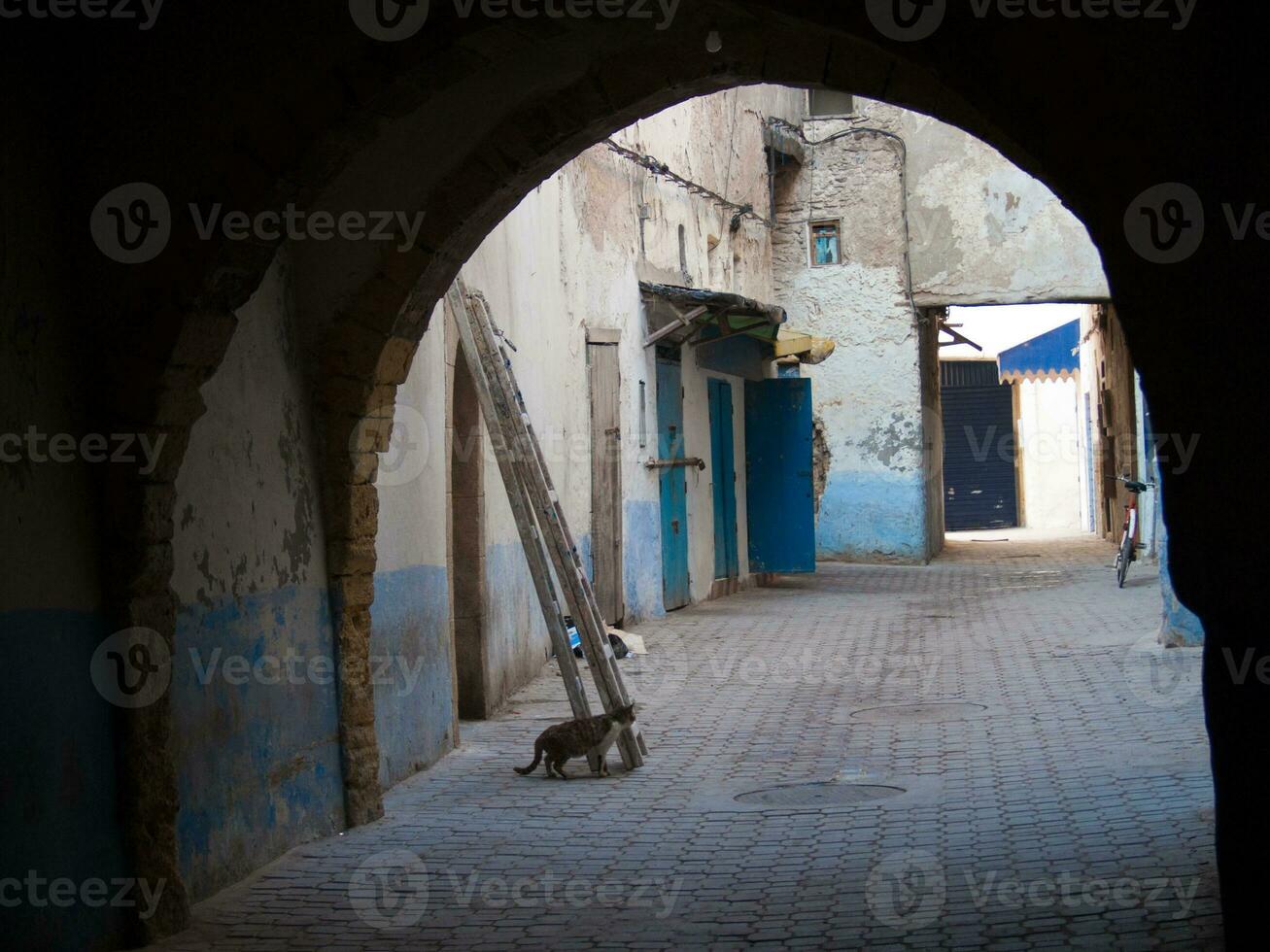a cat is sitting on a ladder in a narrow alley photo