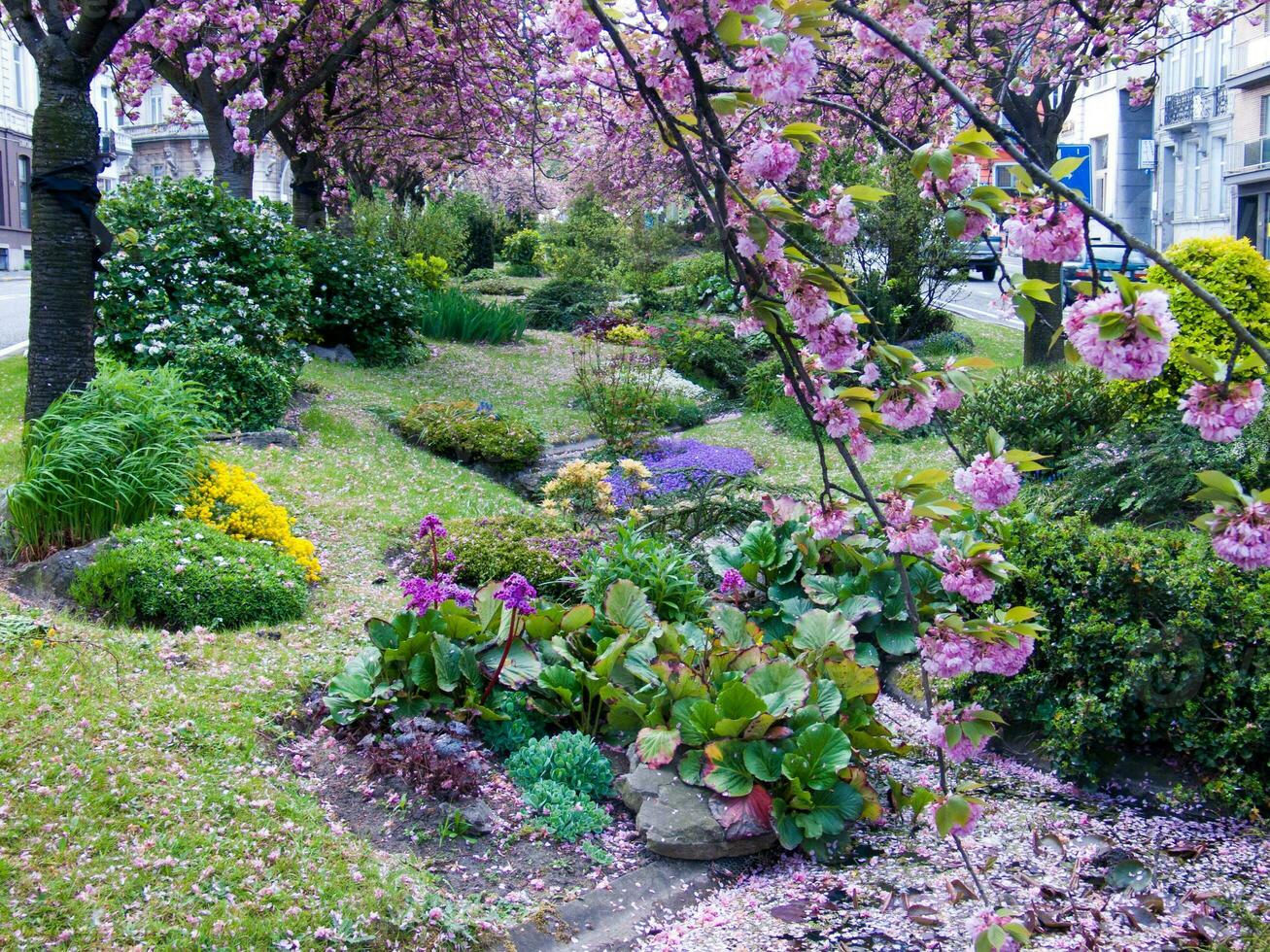 a garden with pink flowers and trees in the middle of a city photo