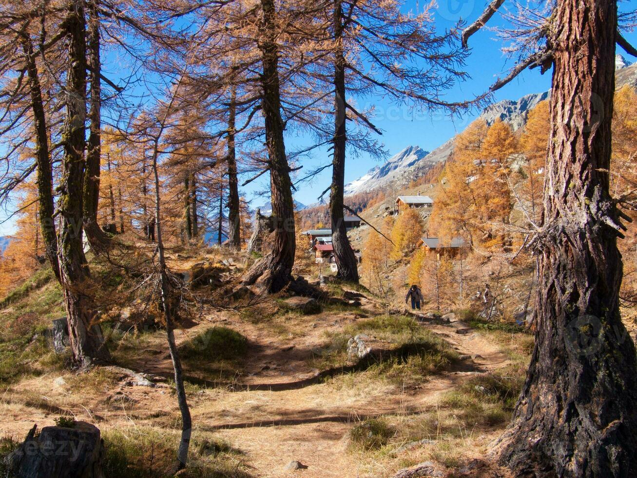 a trail in the mountains photo