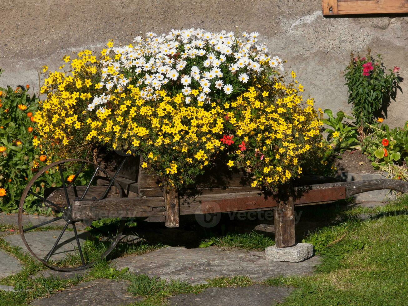 un de madera carro con flores foto