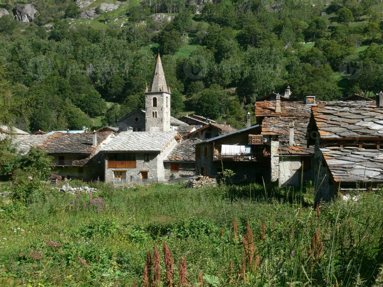 un campo de alto césped foto