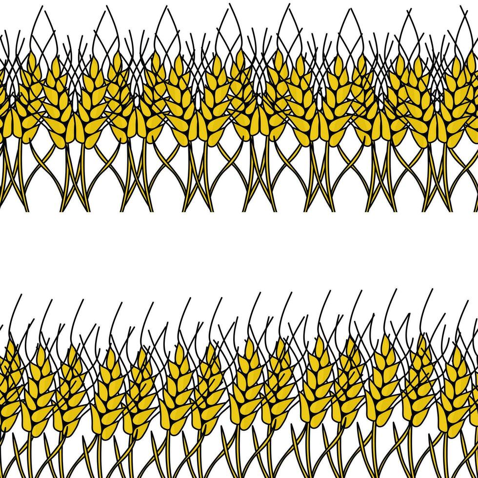 Horizontal borders made of spikelets, decorative elements made of cereals vector