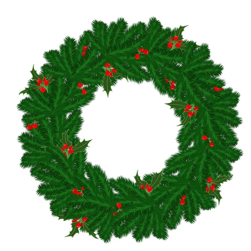 Christmas wreath with sprigs of pine needles and holly, holiday decoration for card or poster design vector