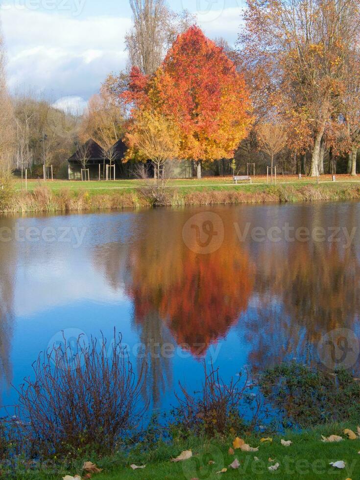 a pond with a tree in the middle photo