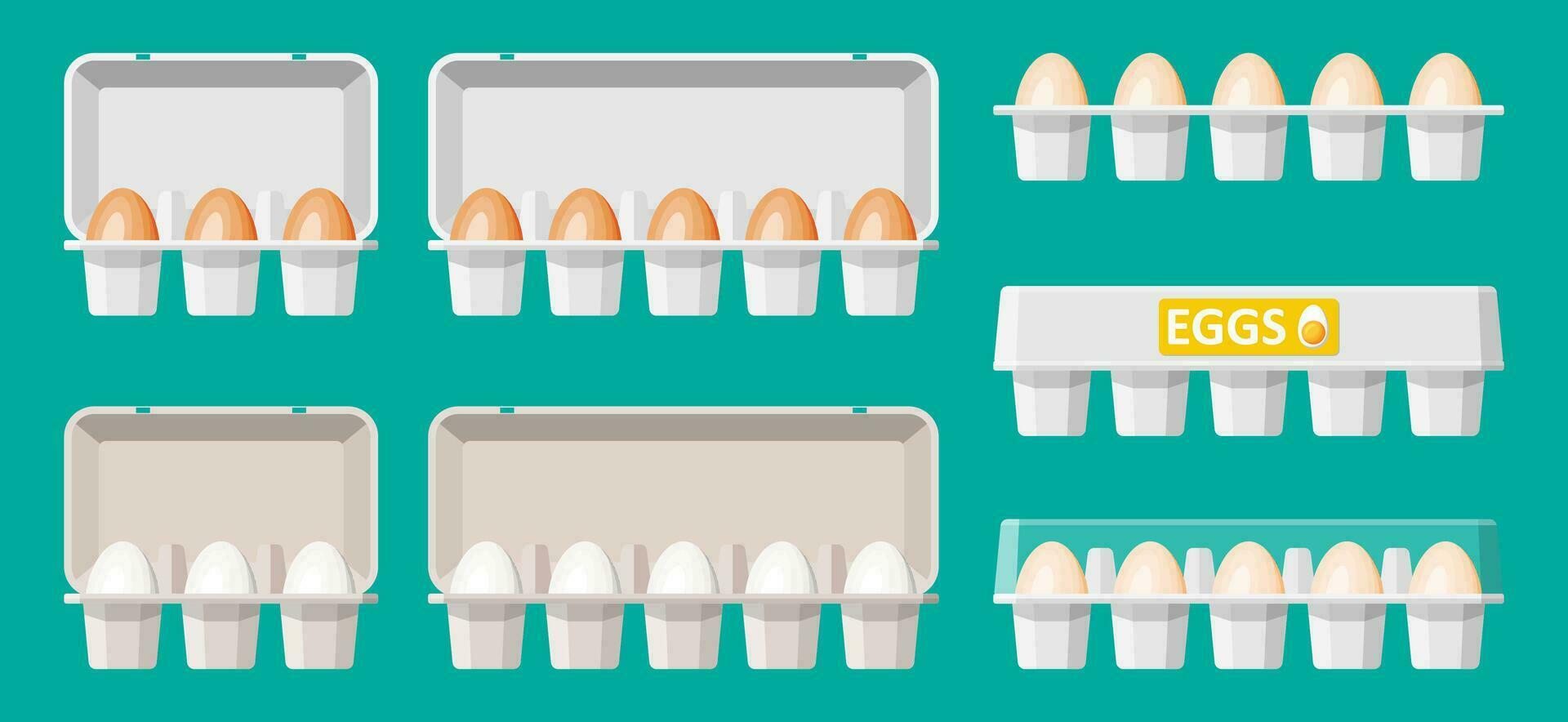 Set eggs in cardboard package isolated on green. Cartoon white and brown egg icon in tray. Dairy food and grocery. Easter mockup concept. Flat vector illustration.