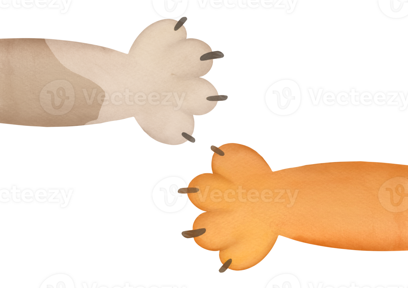Different cartoon multi-colored cat paws set. cute cartoon domestic animal foot Collection isolated on transparent background. Funny fur pet footprints with claws. Help animal concept pet adoption png