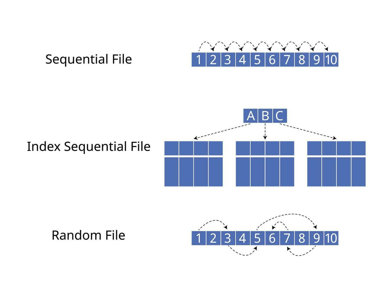 storage of data file for sequential file, index sequential file and random file vector