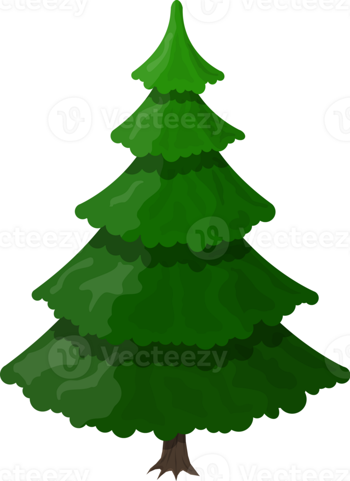 Spruce, christmas evergreen tree 35857119 PNG