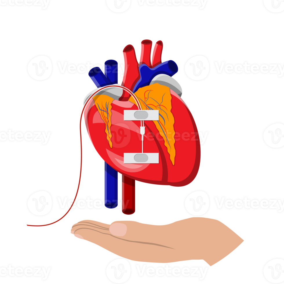 Bag with blood and hand of donor png
