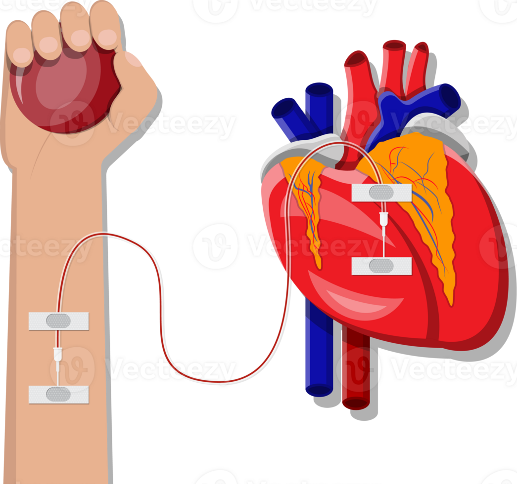 Bag with blood and hand of donor png