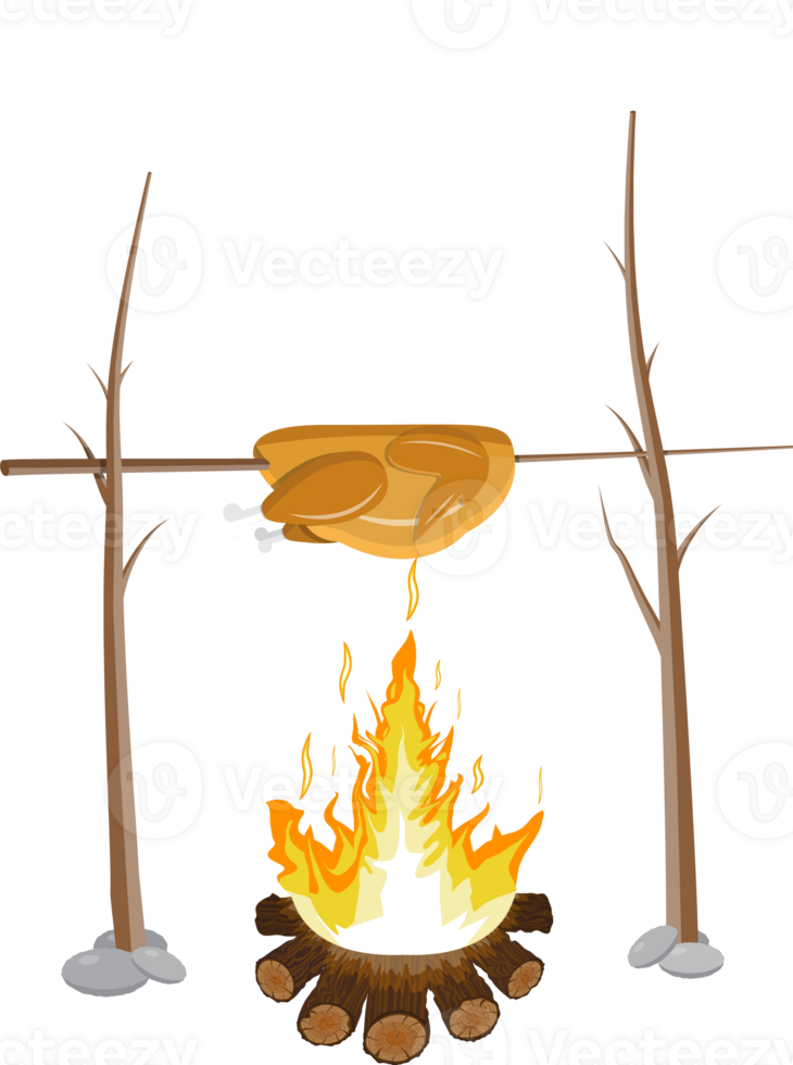 Bonfire with grilled chicken png