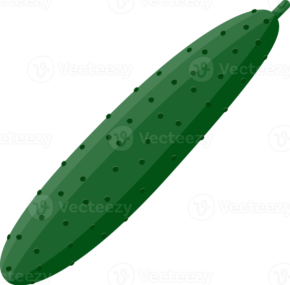 Green cucumber vegetable png