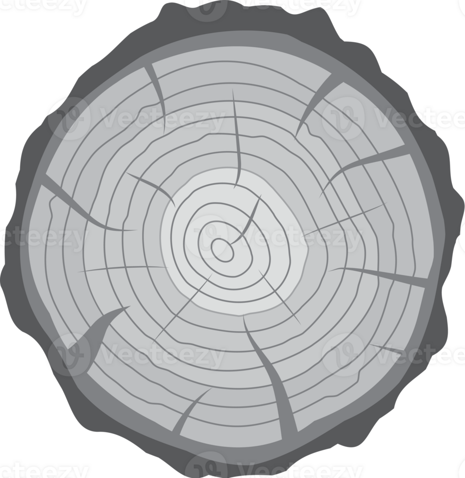 cruzar sección de árbol tocón o maletero png