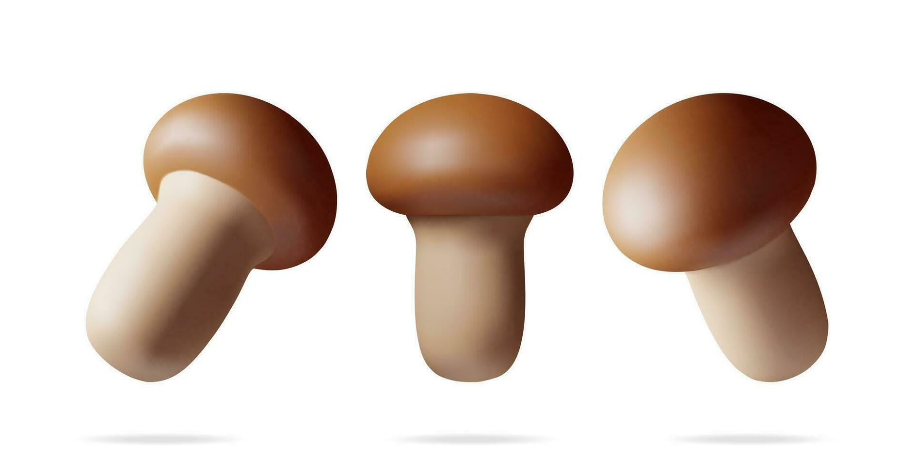3d Ripe Mushroom Champignon in Different Angles Isolated on White. Render Cartoon Style Fungi Mushroom. Raw Food. Organic Healthy Food. Vegetarian Nutrition. Vector Illustration