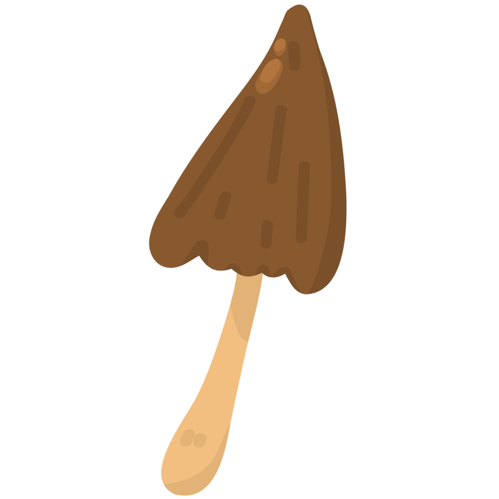 Mushroom plant illustration png