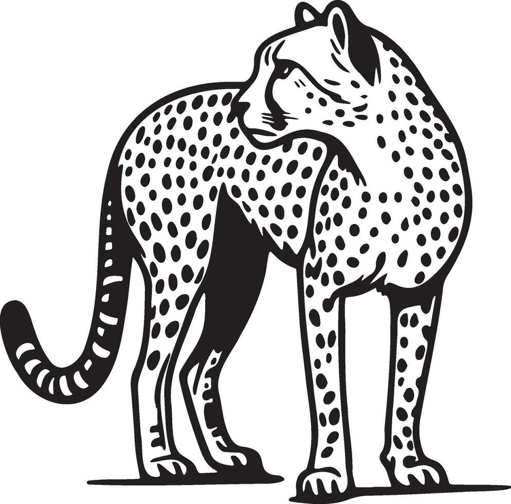 Cheetah Sketch Drawing. vector