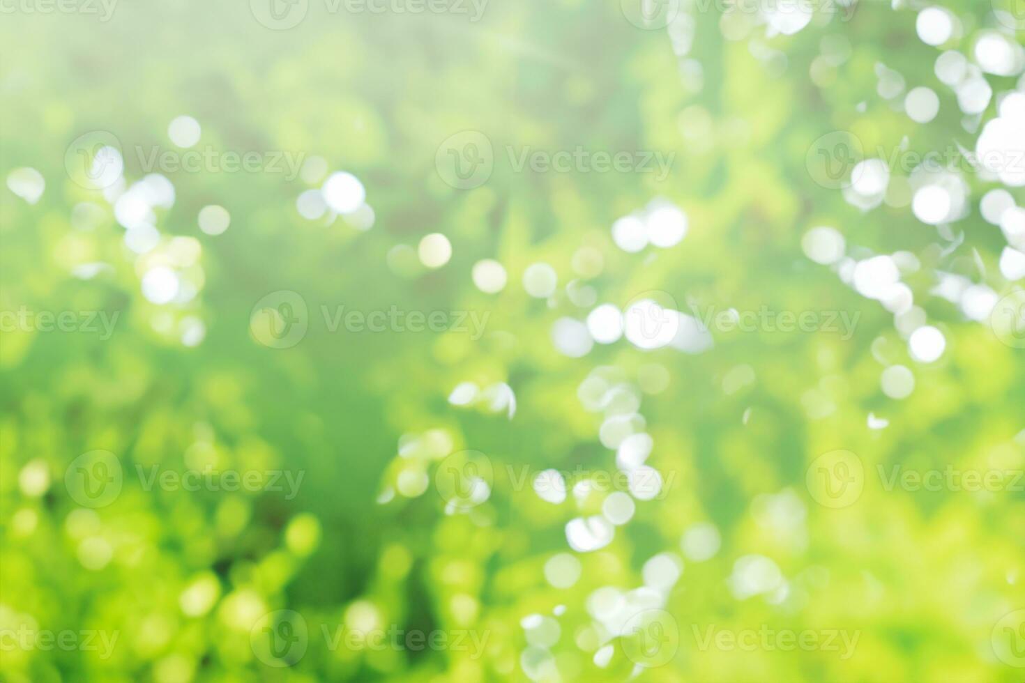 Abstract blurred light bokeh nature background of green leaves photo