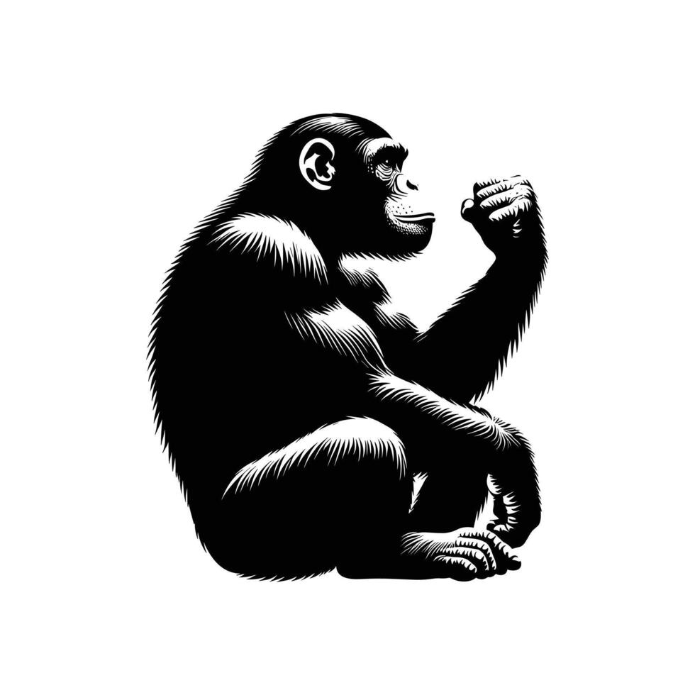 silueta de un chimpance en vector, ingenioso gráfico representación vector